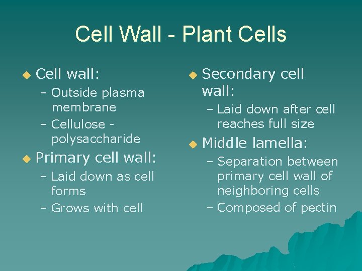 Cell Wall - Plant Cells u Cell wall: – Outside plasma membrane – Cellulose