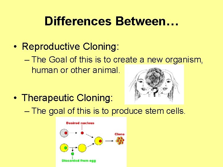 Differences Between… • Reproductive Cloning: – The Goal of this is to create a