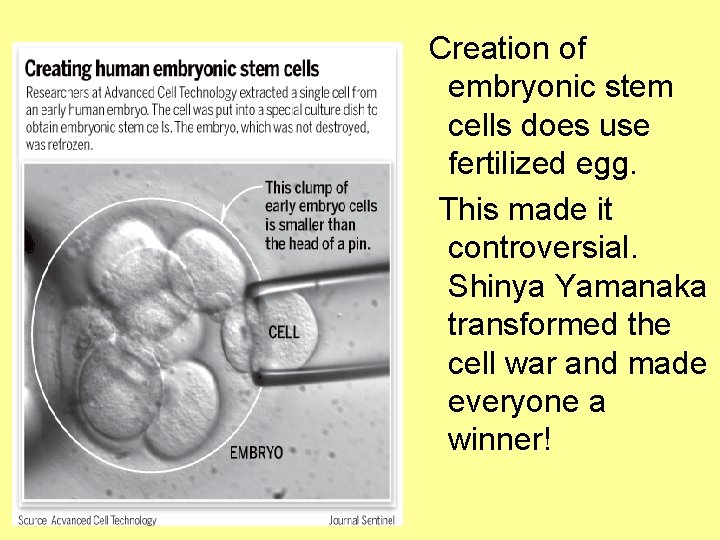 Creation of embryonic stem cells does use fertilized egg. This made it controversial. Shinya