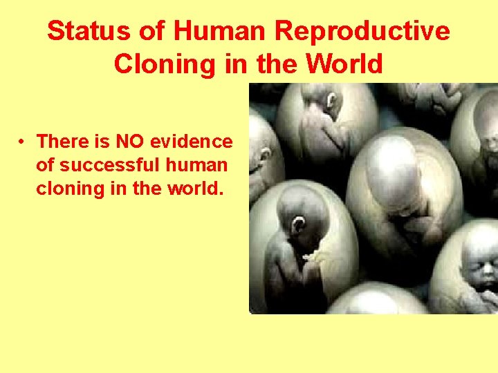 Status of Human Reproductive Cloning in the World • There is NO evidence of