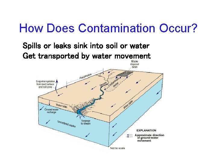 How Does Contamination Occur? Spills or leaks sink into soil or water Get transported