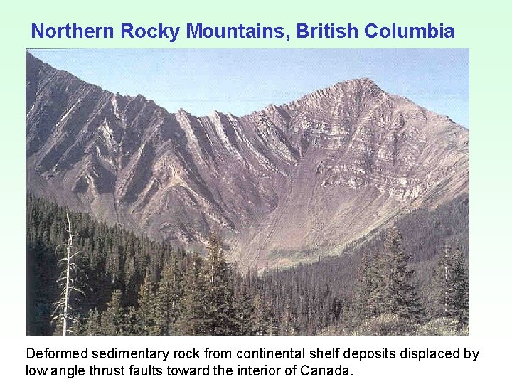 Northern Rocky Mountains, British Columbia Deformed sedimentary rock from continental shelf deposits displaced by