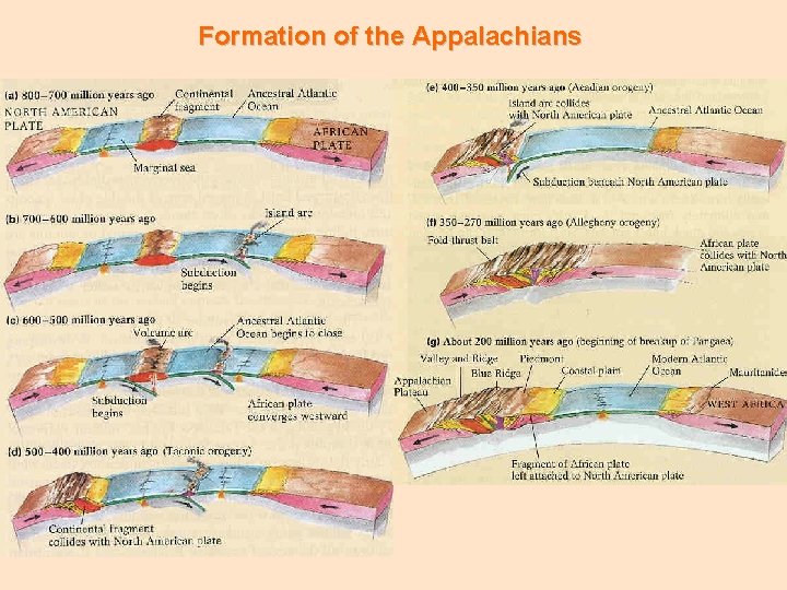 Formation of the Appalachians 