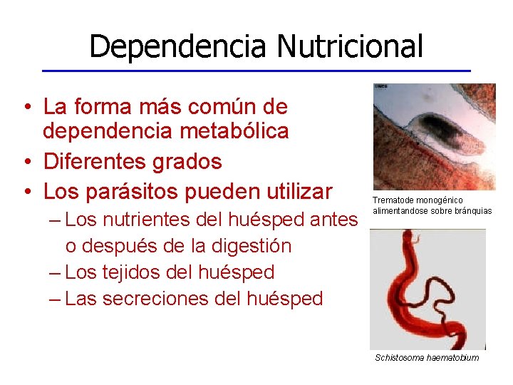 Dependencia Nutricional • La forma más común de dependencia metabólica • Diferentes grados •