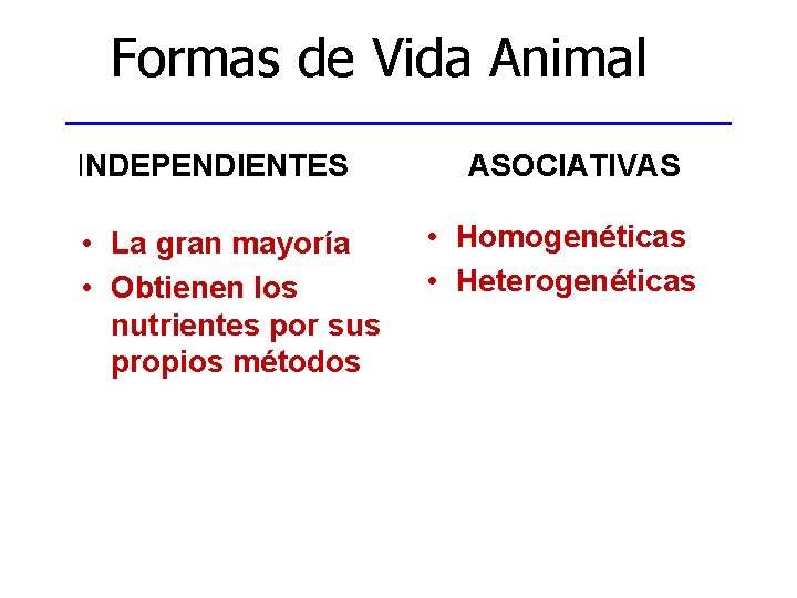 Formas de Vida Animal INDEPENDIENTES • La gran mayoría • Obtienen los nutrientes por