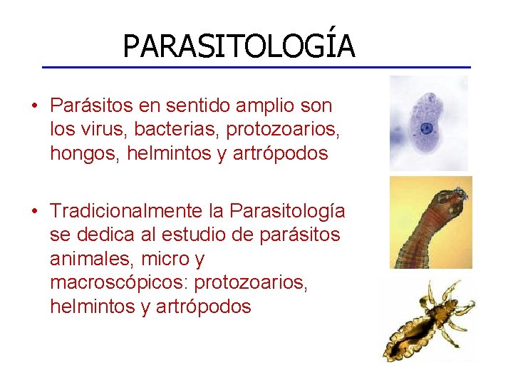 PARASITOLOGÍA • Parásitos en sentido amplio son los virus, bacterias, protozoarios, hongos, helmintos y