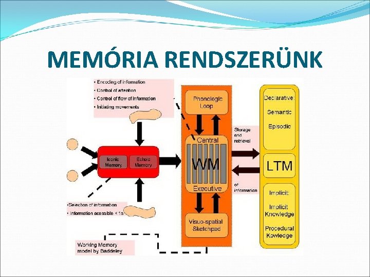 MEMÓRIA RENDSZERÜNK 