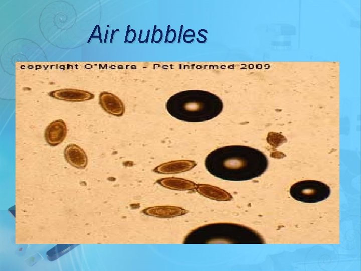 Air bubbles 