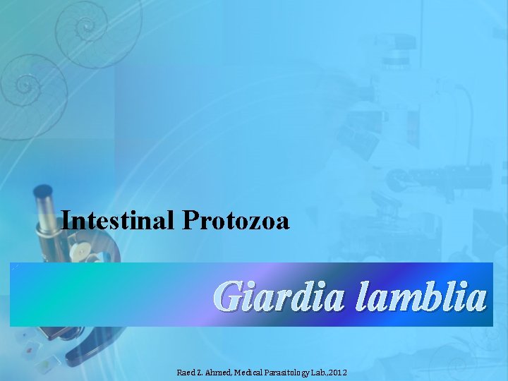 Intestinal Protozoa Giardia lamblia Raed Z. Ahmed, Medical Parasitology Lab. , 2012 