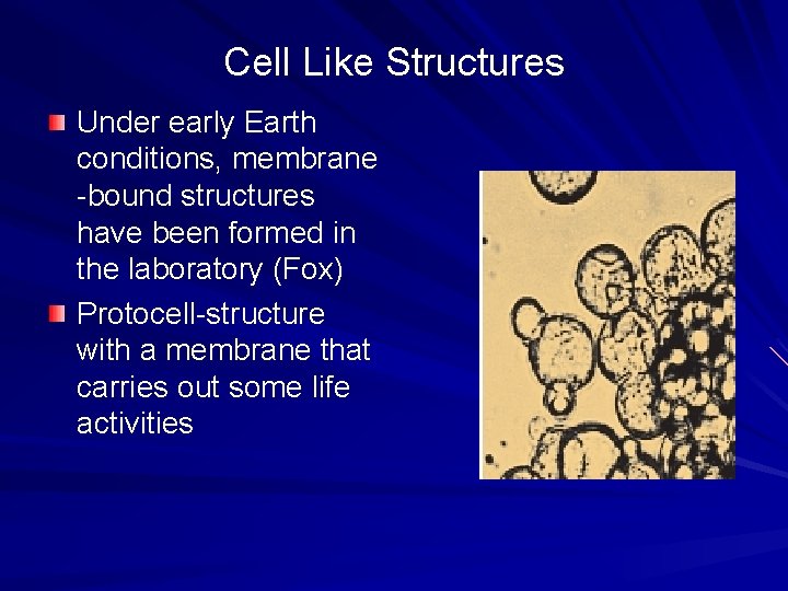 Cell Like Structures Under early Earth conditions, membrane -bound structures have been formed in