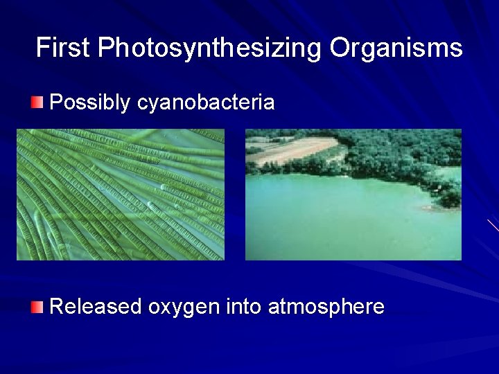 First Photosynthesizing Organisms Possibly cyanobacteria Released oxygen into atmosphere 