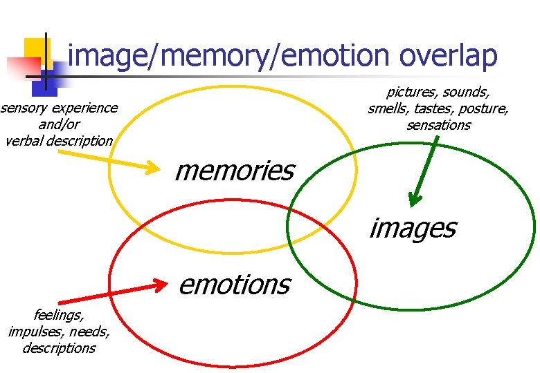 image/memory/emotion overlap pictures, sounds, smells, tastes, posture, sensations sensory experience and/or verbal description memories