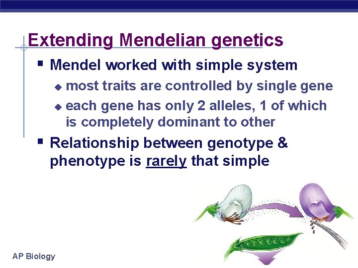 Extending Mendelian genetics § Mendel worked with simple system most traits are controlled by