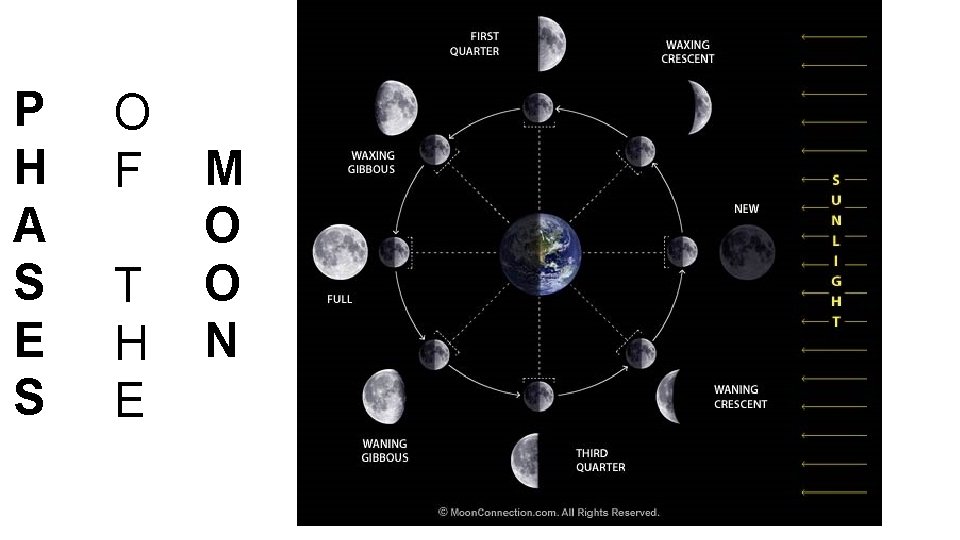 P H A S E S O F T H E M O O