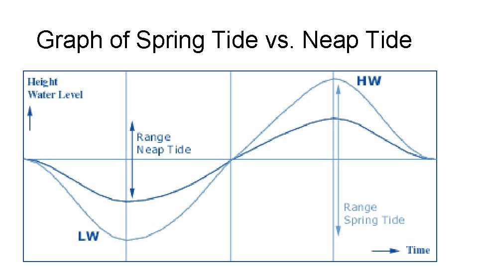 Graph of Spring Tide vs. Neap Tide 