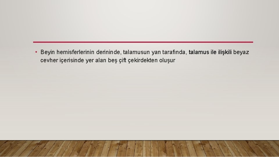  • Beyin hemisferlerinin derininde, talamusun yan tarafında, talamus ile ilişkili beyaz cevher içerisinde