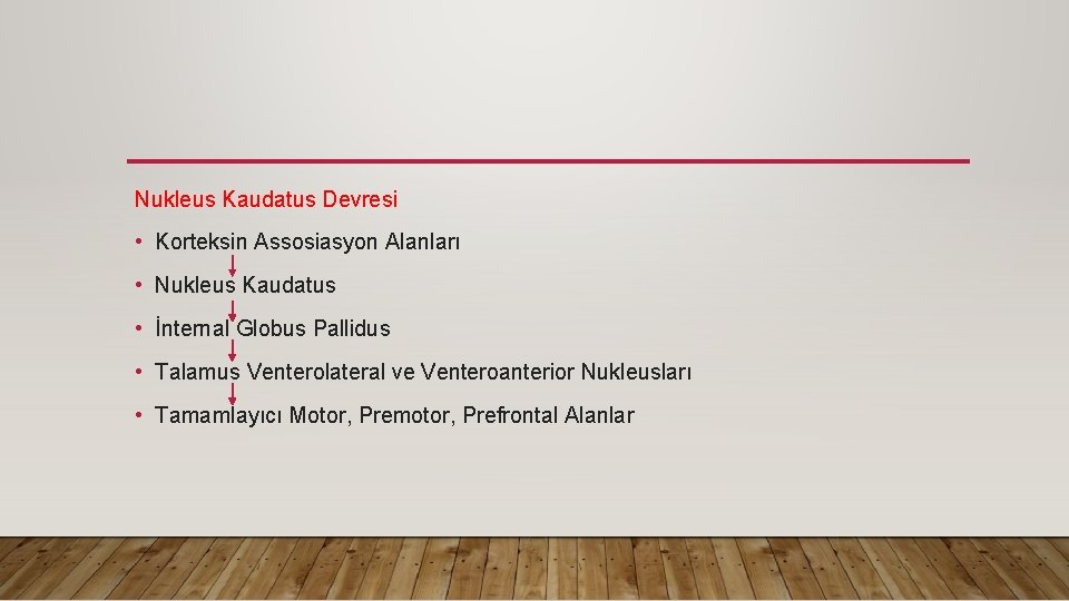 Nukleus Kaudatus Devresi • Korteksin Assosiasyon Alanları • Nukleus Kaudatus • İnternal Globus Pallidus