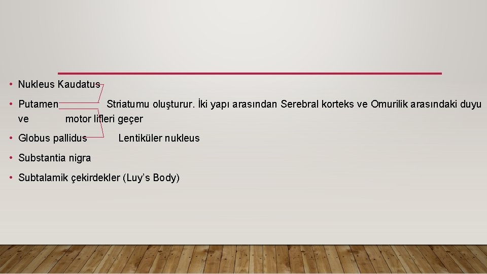  • Nukleus Kaudatus • Putamen Striatumu oluşturur. İki yapı arasından Serebral korteks ve