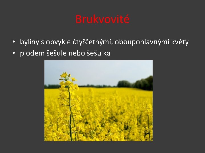 Brukvovité • byliny s obvykle čtyřčetnými, oboupohlavnými květy • plodem šešule nebo šešulka 