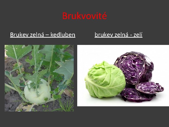 Brukvovité Brukev zelná – kedluben brukev zelná - zelí 