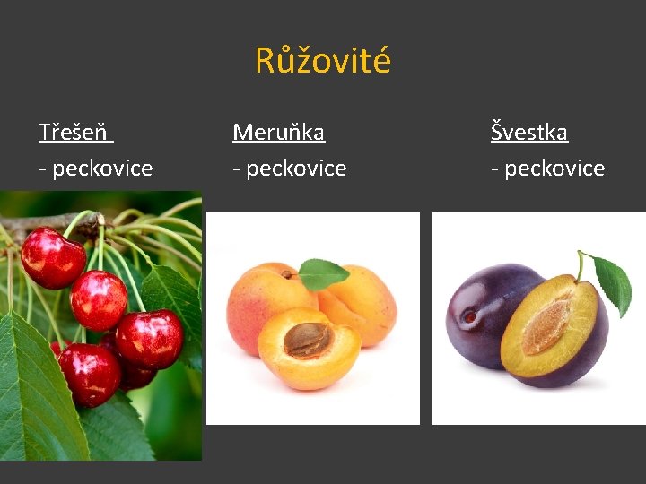 Růžovité Třešeň - peckovice Meruňka - peckovice Švestka - peckovice 