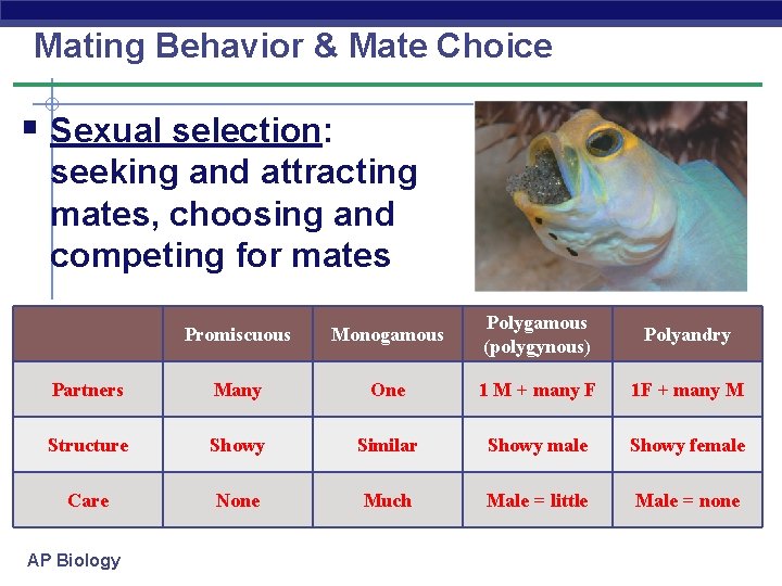 Mating Behavior & Mate Choice § Sexual selection: seeking and attracting mates, choosing and