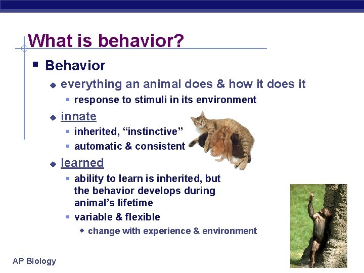 What is behavior? § Behavior u everything an animal does & how it does