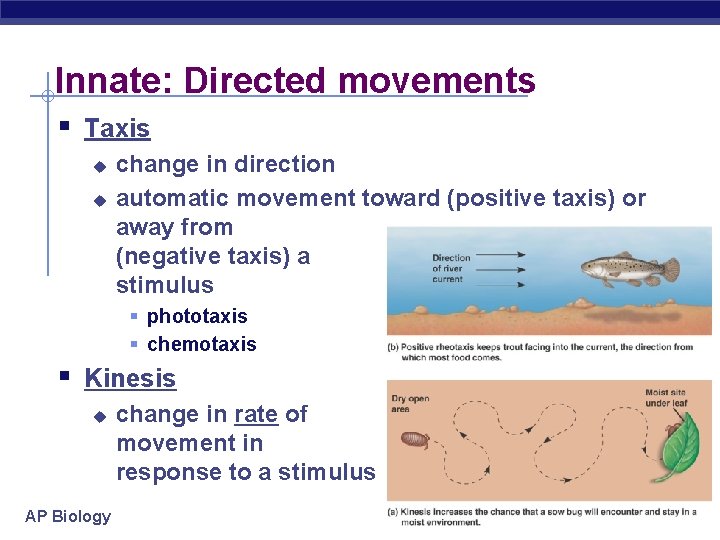 Innate: Directed movements § Taxis u u change in direction automatic movement toward (positive