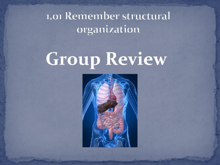 1. 01 Remember structural organization Group Review 