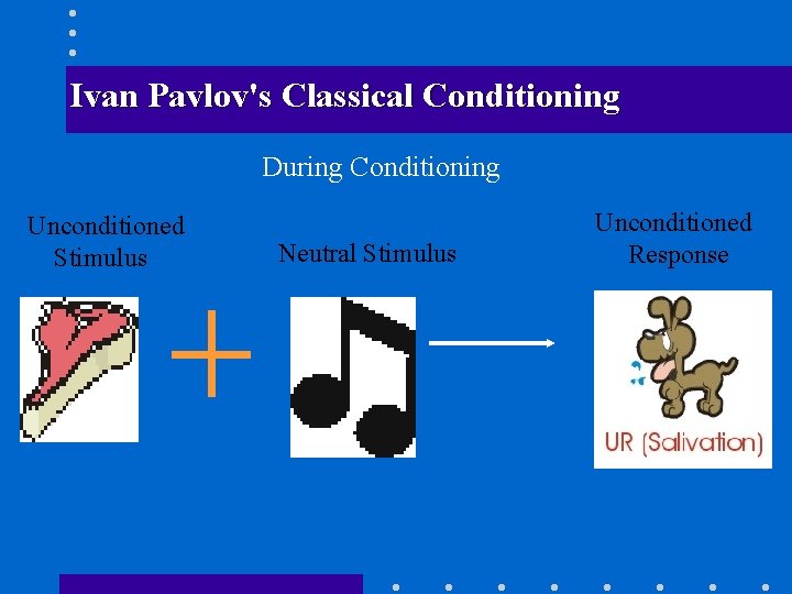 Ivan Pavlov's Classical Conditioning During Conditioning Unconditioned Stimulus Neutral Stimulus Unconditioned Response 