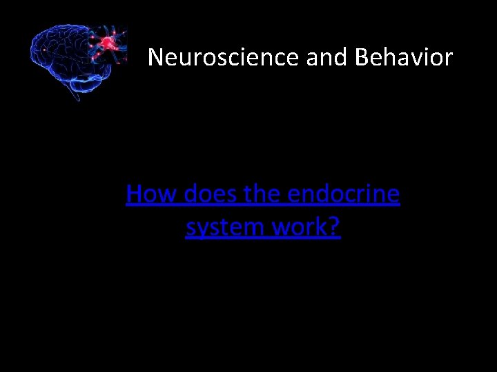 Neuroscience and Behavior How does the endocrine system work? 