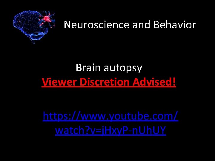 Neuroscience and Behavior Brain autopsy Viewer Discretion Advised! https: //www. youtube. com/ watch? v=j.