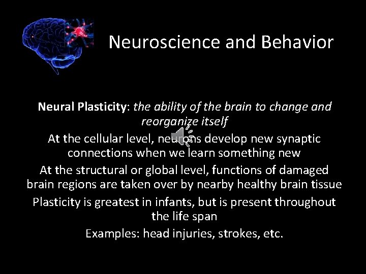 Neuroscience and Behavior Neural Plasticity: the ability of the brain to change and reorganize
