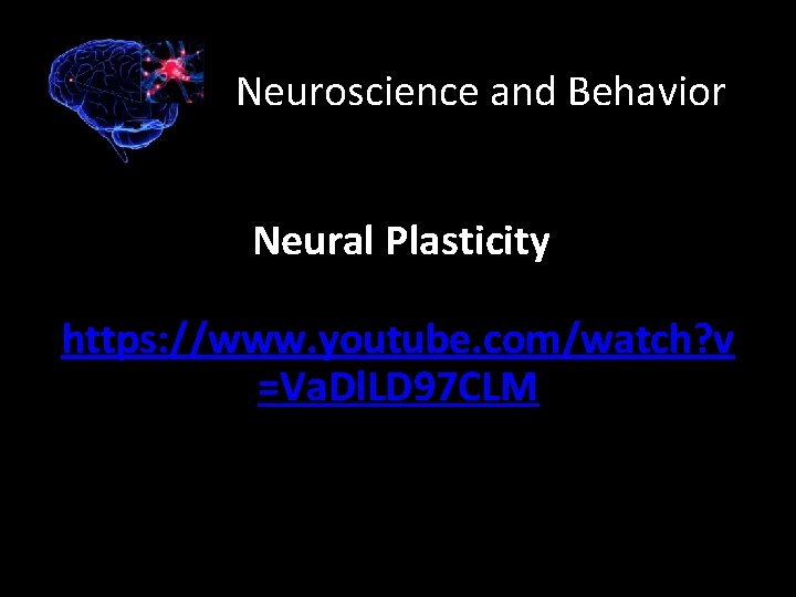 Neuroscience and Behavior Neural Plasticity https: //www. youtube. com/watch? v =Va. Dl. LD 97
