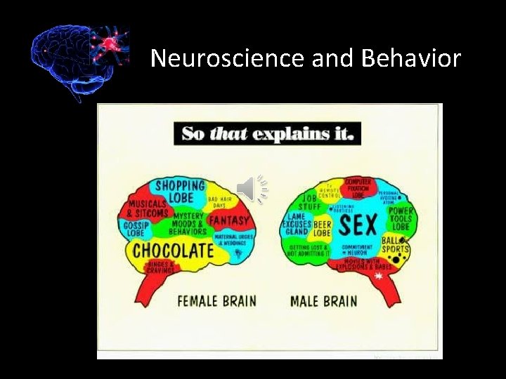 Neuroscience and Behavior 