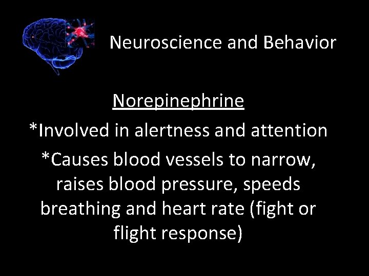 Neuroscience and Behavior Norepinephrine *Involved in alertness and attention *Causes blood vessels to narrow,