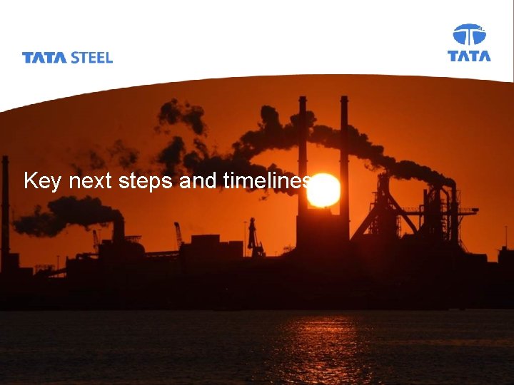 Capability Review_Why Who What When How 2017 Tata Steel Key next steps and timelines