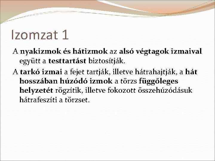 Izomzat 1 A nyakizmok és hátizmok az alsó végtagok izmaival együtt a testtartást biztosítják.