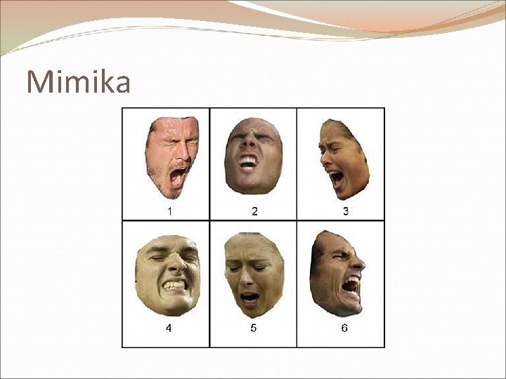 Mimika 