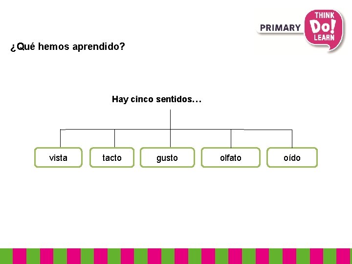 ¿Qué hemos aprendido? Hay cinco sentidos… vista tacto gusto olfato oído 