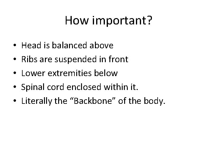 How important? • • • Head is balanced above Ribs are suspended in front