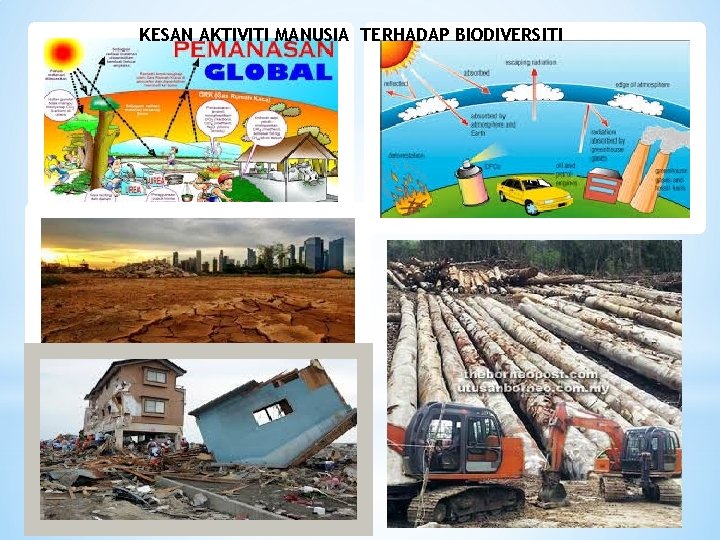 KESAN AKTIVITI MANUSIA TERHADAP BIODIVERSITI 