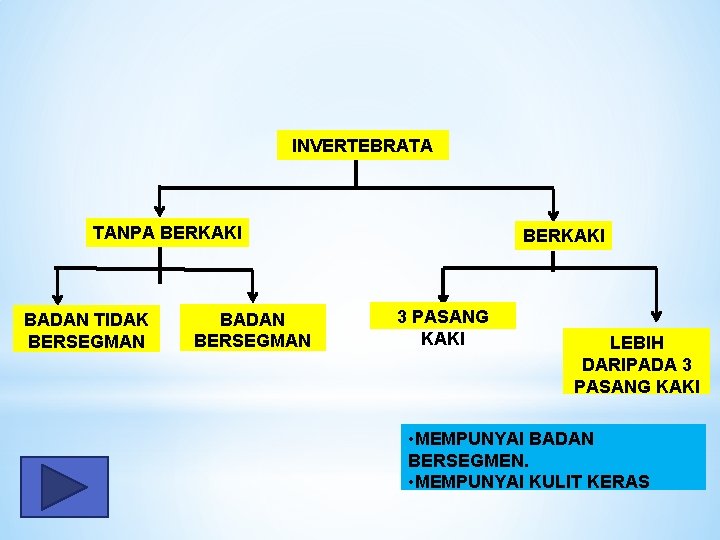 INVERTEBRATA TANPA BERKAKI BADAN TIDAK BERSEGMAN BADAN BERSEGMAN BERKAKI 3 PASANG KAKI LEBIH DARIPADA