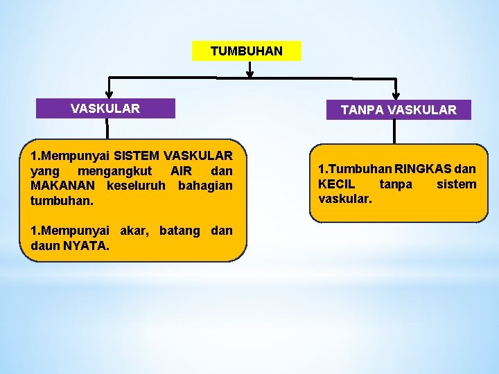 TUMBUHAN VASKULAR 1. Mempunyai SISTEM VASKULAR yang mengangkut AIR dan MAKANAN keseluruh bahagian tumbuhan.