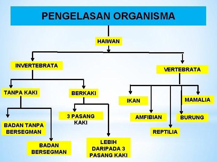 PENGELASAN ORGANISMA HAIWAN INVERTEBRATA TANPA KAKI VERTEBRATA BERKAKI MAMALIA IKAN BADAN TANPA BERSEGMAN BADAN