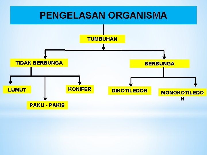 PENGELASAN ORGANISMA TUMBUHAN TIDAK BERBUNGA KONIFER LUMUT PAKU - PAKIS DIKOTILEDON MONOKOTILEDO N 