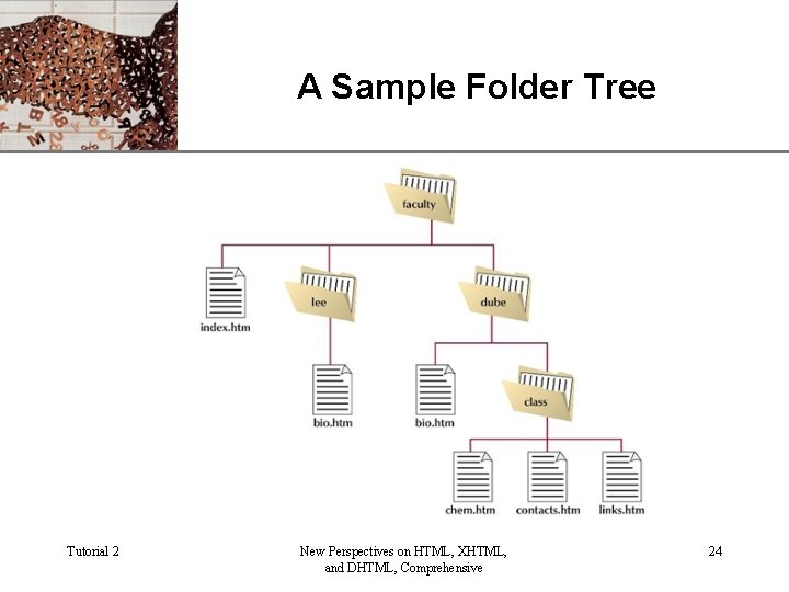 A Sample Folder Tree Tutorial 2 New Perspectives on HTML, XHTML, and DHTML, Comprehensive