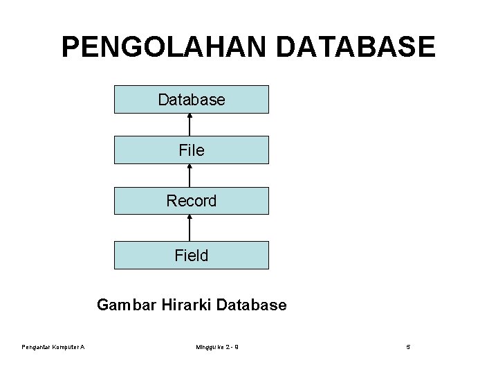 PENGOLAHAN DATABASE Database File Record Field Gambar Hirarki Database Pengantar Komputer A Minggu ke