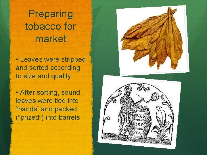 Preparing tobacco for market • Leaves were stripped and sorted according to size and