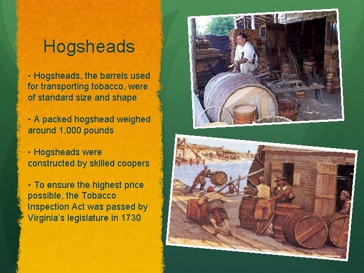 Hogsheads • Hogsheads, the barrels used for transporting tobacco, were of standard size and